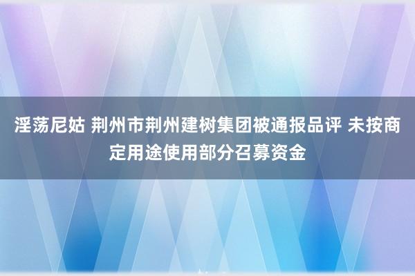 淫荡尼姑 荆州市荆州建树集团被通报品评 未按商定用途使用部分召募资金