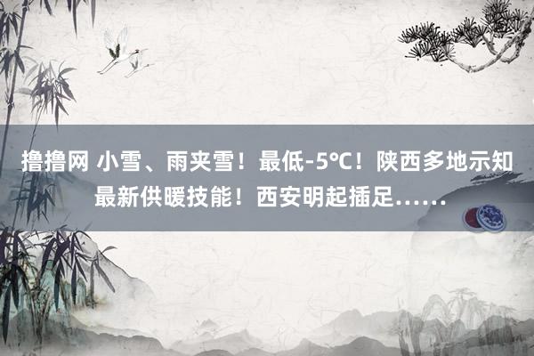 撸撸网 小雪、雨夹雪！最低-5℃！陕西多地示知 最新供暖技能！西安明起插足……