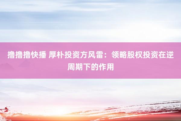 撸撸撸快播 厚朴投资方风雷：领略股权投资在逆周期下的作用