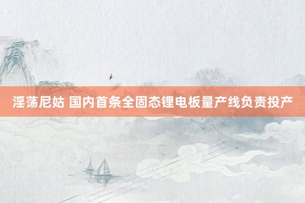 淫荡尼姑 国内首条全固态锂电板量产线负责投产