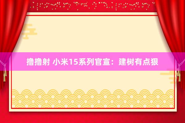 撸撸射 小米15系列官宣：建树有点狠