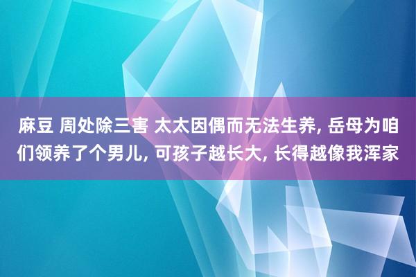 麻豆 周处除三害 太太因偶而无法生养, 岳母为咱们领养了个男儿, 可孩子越长大, 长得越像我浑家