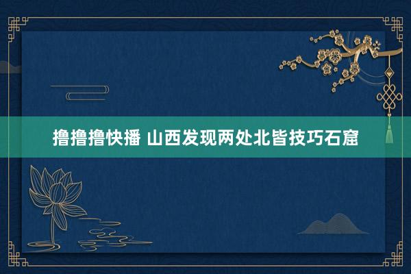 撸撸撸快播 山西发现两处北皆技巧石窟