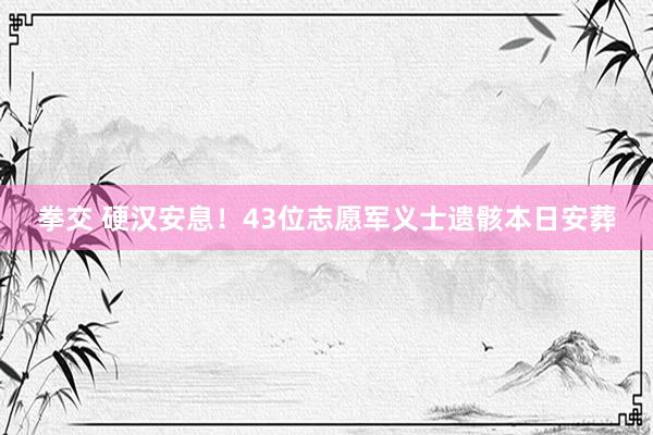 拳交 硬汉安息！43位志愿军义士遗骸本日安葬
