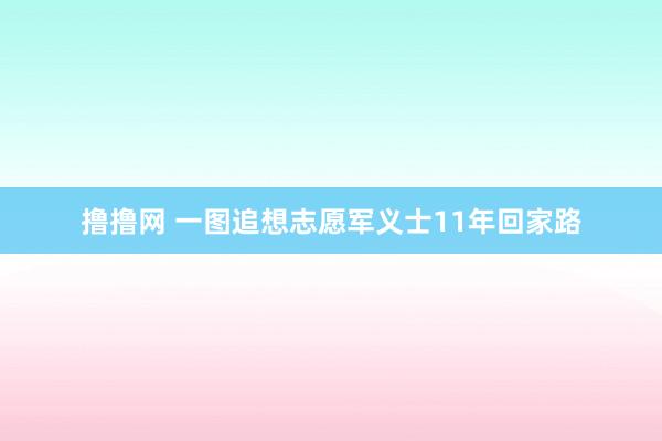 撸撸网 一图追想志愿军义士11年回家路