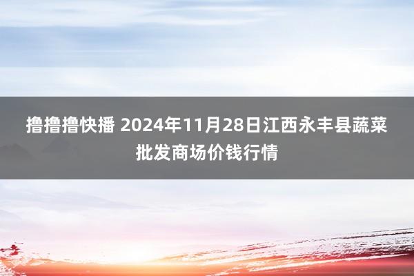 撸撸撸快播 2024年11月28日江西永丰县蔬菜批发商场价钱行情