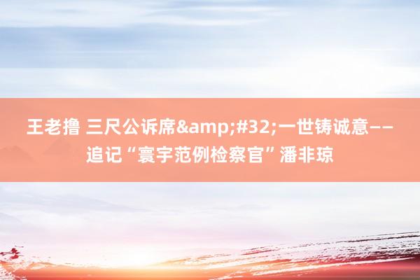 王老撸 三尺公诉席&#32;一世铸诚意——追记“寰宇范例检察官”潘非琼