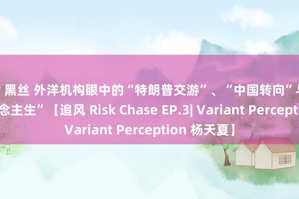 jav 黑丝 外洋机构眼中的“特朗普交游”、“中国转向”与“交游员东说念主生”【追风 Risk Chase EP.3| Variant Perception 杨天夏】