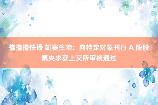 撸撸撸快播 凯赛生物：向特定对象刊行 A 股股票央求获上交所审核通过