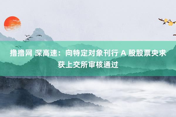撸撸网 深高速：向特定对象刊行 A 股股票央求获上交所审核通过