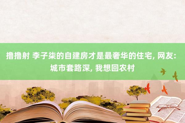 撸撸射 李子柒的自建房才是最奢华的住宅, 网友: 城市套路深, 我想回农村