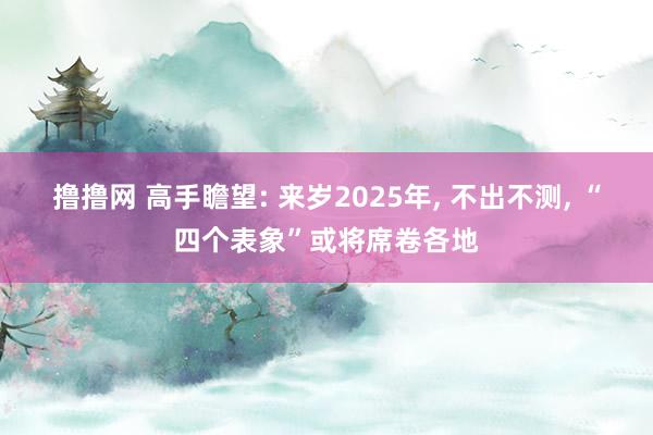 撸撸网 高手瞻望: 来岁2025年, 不出不测, “四个表象”或将席卷各地