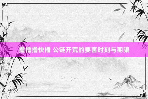 撸撸撸快播 公链开荒的要害时刻与期骗