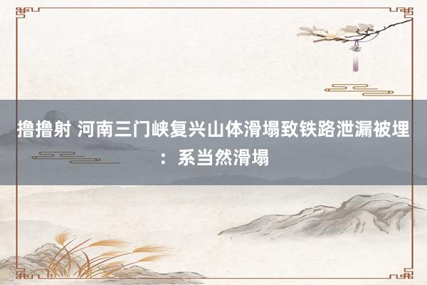 撸撸射 河南三门峡复兴山体滑塌致铁路泄漏被埋：系当然滑塌