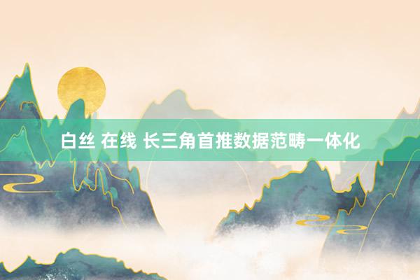 白丝 在线 长三角首推数据范畴一体化