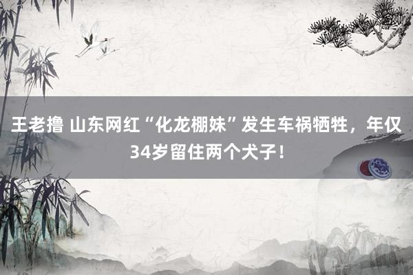 王老撸 山东网红“化龙棚妹”发生车祸牺牲，年仅34岁留住两个犬子！
