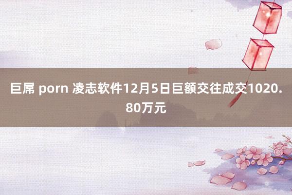 巨屌 porn 凌志软件12月5日巨额交往成交1020.80万元