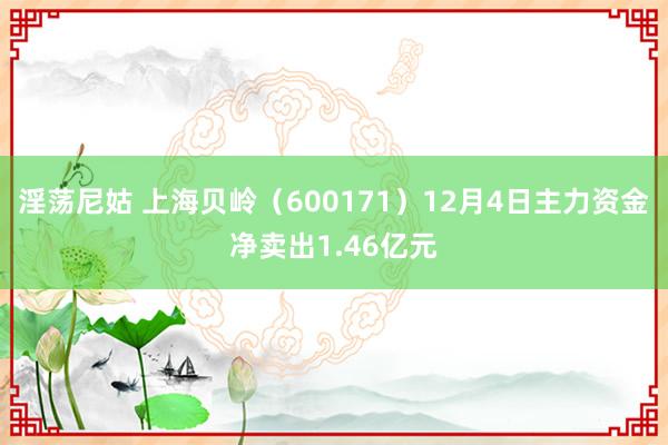 淫荡尼姑 上海贝岭（600171）12月4日主力资金净卖出1.46亿元