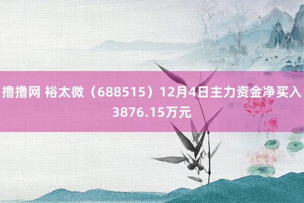 撸撸网 裕太微（688515）12月4日主力资金净买入3876.15万元
