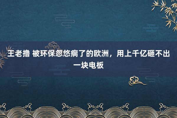 王老撸 被环保忽悠瘸了的欧洲，用上千亿砸不出一块电板