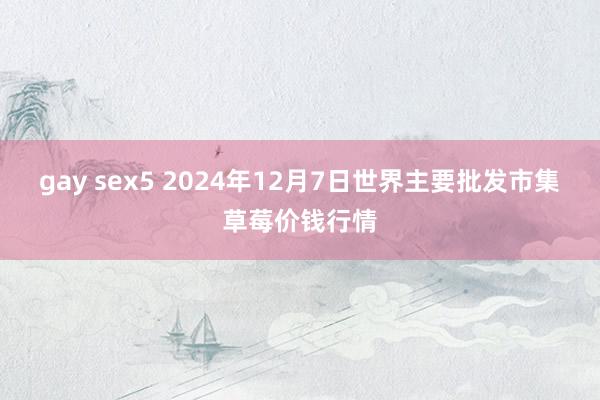 gay sex5 2024年12月7日世界主要批发市集草莓价钱行情