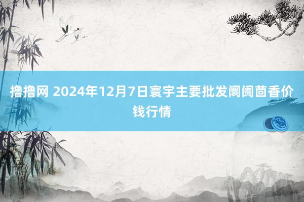 撸撸网 2024年12月7日寰宇主要批发阛阓茴香价钱行情