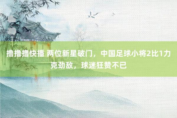 撸撸撸快播 两位新星破门，中国足球小将2比1力克劲敌，球迷狂赞不已