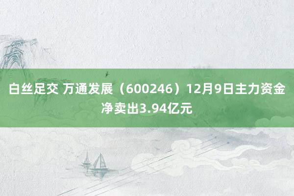 白丝足交 万通发展（600246）12月9日主力资金净卖出3.94亿元