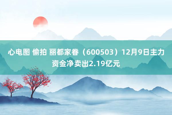 心电图 偷拍 丽都家眷（600503）12月9日主力资金净卖出2.19亿元