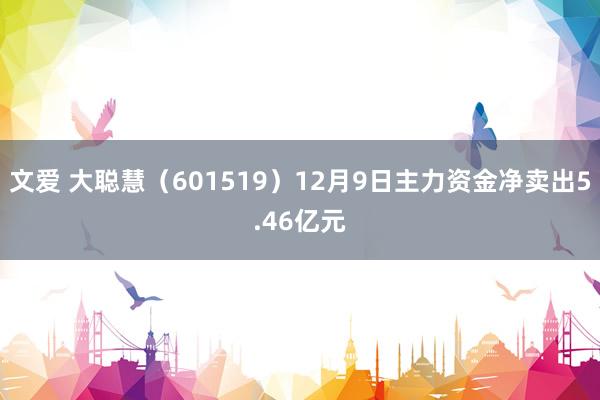文爱 大聪慧（601519）12月9日主力资金净卖出5.46亿元