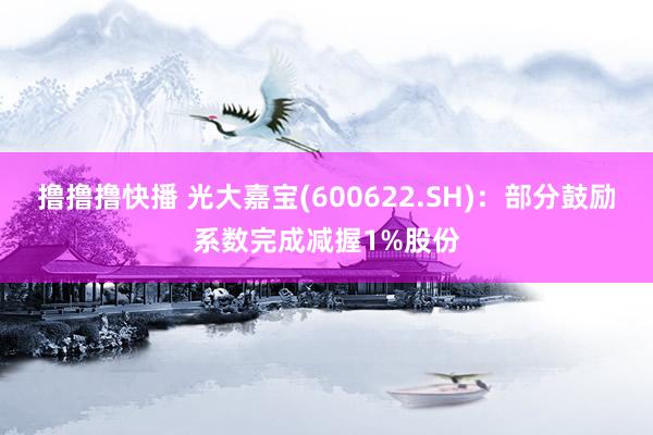 撸撸撸快播 光大嘉宝(600622.SH)：部分鼓励系数完成减握1%股份