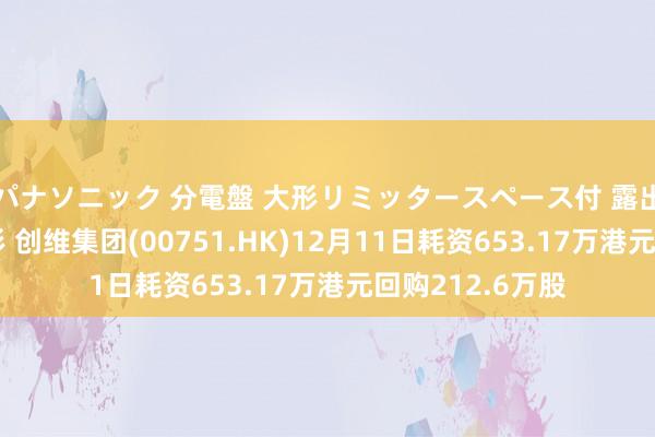 パナソニック 分電盤 大形リミッタースペース付 露出・半埋込両用形 创维集团(00751.HK)12月11日耗资653.17万港元回购212.6万股