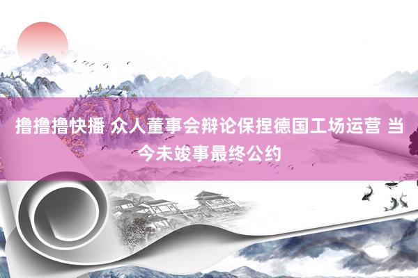 撸撸撸快播 众人董事会辩论保捏德国工场运营 当今未竣事最终公约