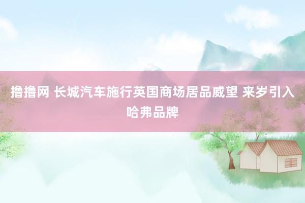 撸撸网 长城汽车施行英国商场居品威望 来岁引入哈弗品牌