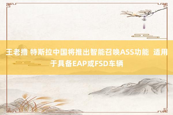 王老撸 特斯拉中国将推出智能召唤ASS功能  适用于具备EAP或FSD车辆