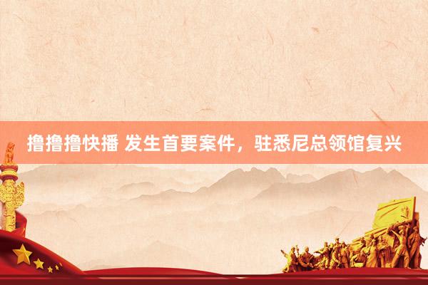 撸撸撸快播 发生首要案件，驻悉尼总领馆复兴