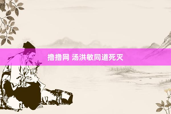 撸撸网 汤洪敏同道死灭