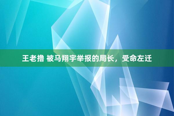 王老撸 被马翔宇举报的局长，受命左迁