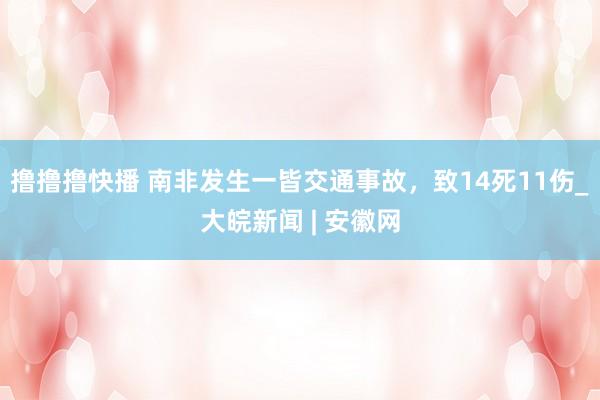 撸撸撸快播 南非发生一皆交通事故，致14死11伤_大皖新闻 | 安徽网