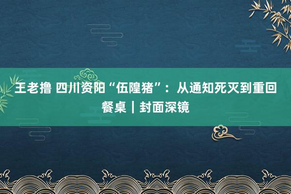 王老撸 四川资阳“伍隍猪”：从通知死灭到重回餐桌｜封面深镜
