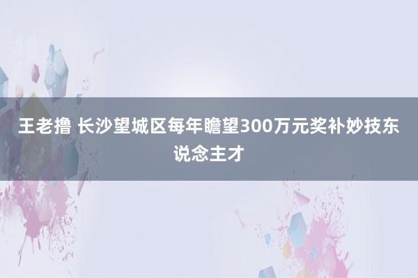 王老撸 长沙望城区每年瞻望300万元奖补妙技东说念主才