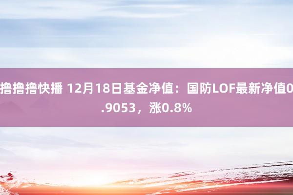 撸撸撸快播 12月18日基金净值：国防LOF最新净值0.9053，涨0.8%
