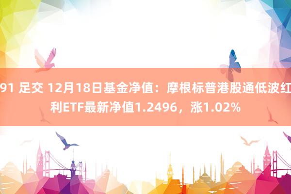 91 足交 12月18日基金净值：摩根标普港股通低波红利ETF最新净值1.2496，涨1.02%