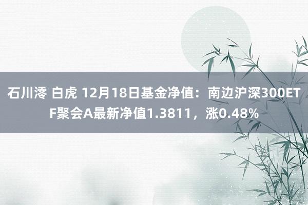 石川澪 白虎 12月18日基金净值：南边沪深300ETF聚会A最新净值1.3811，涨0.48%