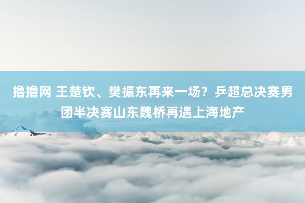 撸撸网 王楚钦、樊振东再来一场？乒超总决赛男团半决赛山东魏桥再遇上海地产