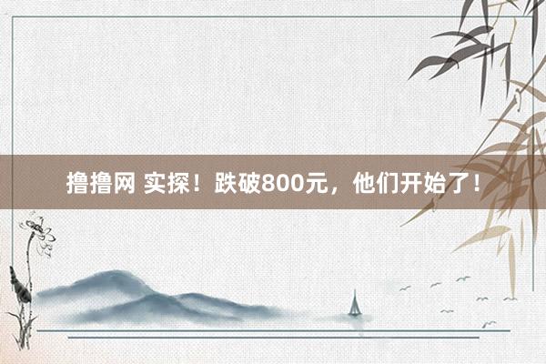 撸撸网 实探！跌破800元，他们开始了！