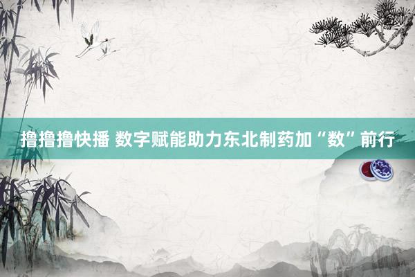 撸撸撸快播 数字赋能助力东北制药加“数”前行