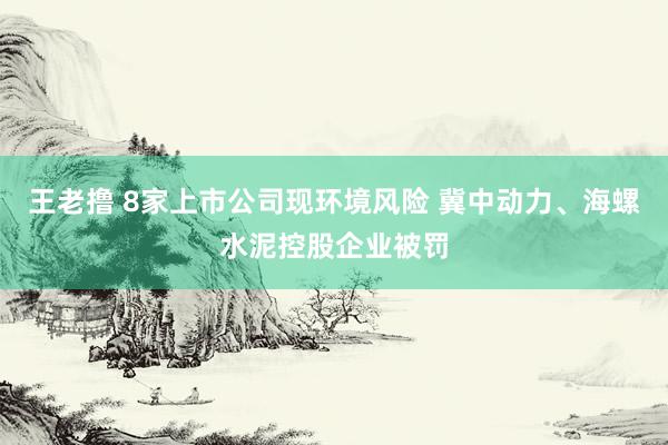 王老撸 8家上市公司现环境风险 冀中动力、海螺水泥控股企业被罚
