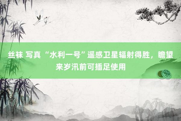 丝袜 写真 “水利一号”遥感卫星辐射得胜，瞻望来岁汛前可插足使用