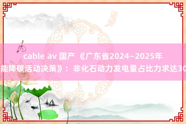 cable av 国产 《广东省2024—2025年节能降碳活动决策》：非化石动力发电量占比力求达30%